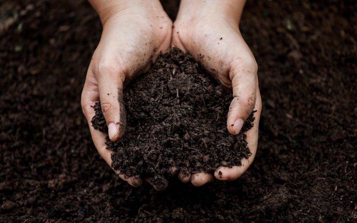 What a Soil Survey Actually Tells You Before You Buy Land in the Northwoods